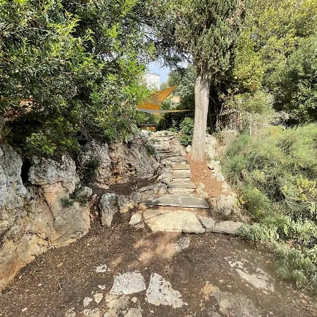 Degli Ulivi * Massa Marittima