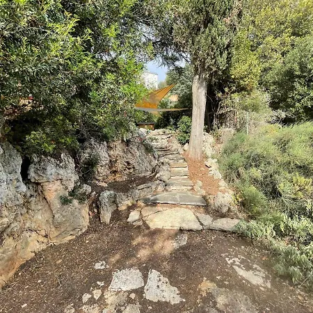 Degli Ulivi * Massa Marittima