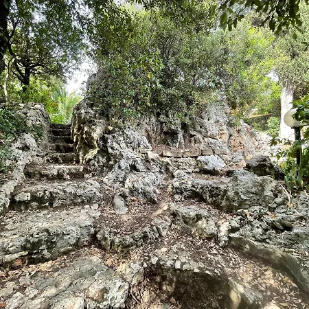 Degli Ulivi Villa Massa Marittima