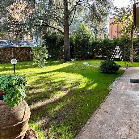 Degli Ulivi * Massa Marittima